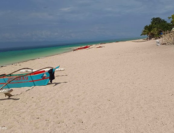 Pre-selling 100 sqm Beach Property For Sale in Moalboal Cebu
