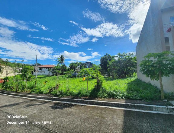 Sumulong 150 sqm Residential Lot For Sale in Antipolo Rizal