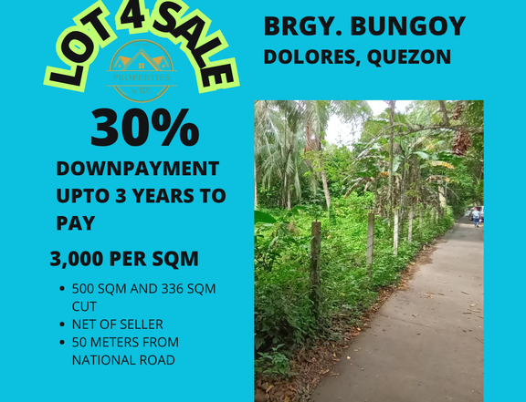 RESIDENTIAL LOT FOR SALE BRGY. BUNGOY, DOLORES, QUEZON