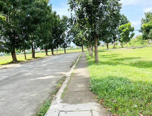GREENLAND NEWTOWN - Residential Lot in Barangay Ampid San Mateo, Rizal