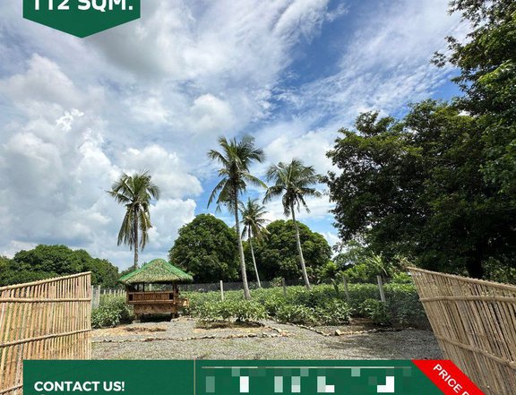 150 sqm Residential Farm For Sale in San Juan Batangas