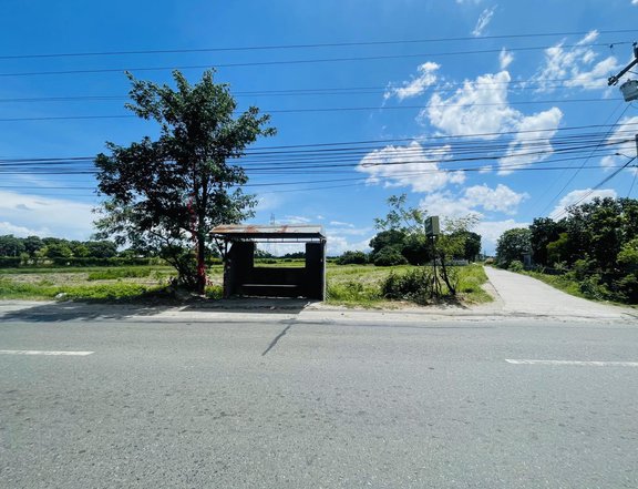 RUSH SALE LOT IDEAL FOR COMMERCIAL USE IN PAMPANGA NEAR DON HONORIO VENTURA STATE UNIVERSITY MEXICO