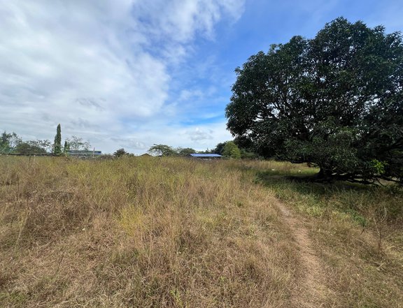 FOR SALE FARM LOT IDEAL FOR RESORT OR RETIREMENT HOUSE IN PAMPANGA