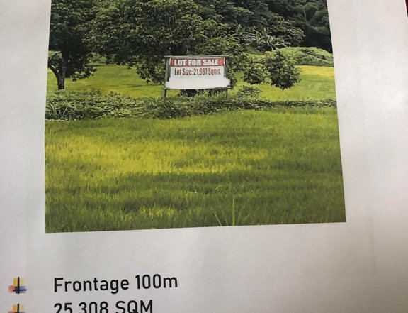 Farm Lot on the provincial road frontage 100 meters 2.5 has