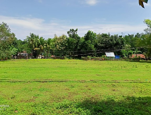 1,000 sqm Residential Farm For Sale in Patnongon Antique