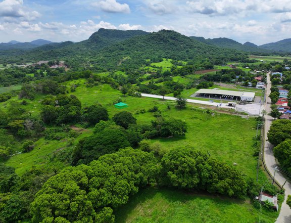 HIGH END RESIDENTIAL LOTS IN NASUGBU BATANGAS