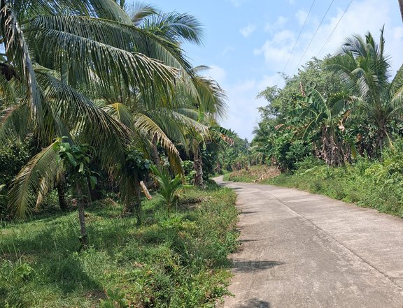 2.1hec farmlot in dagami leyte