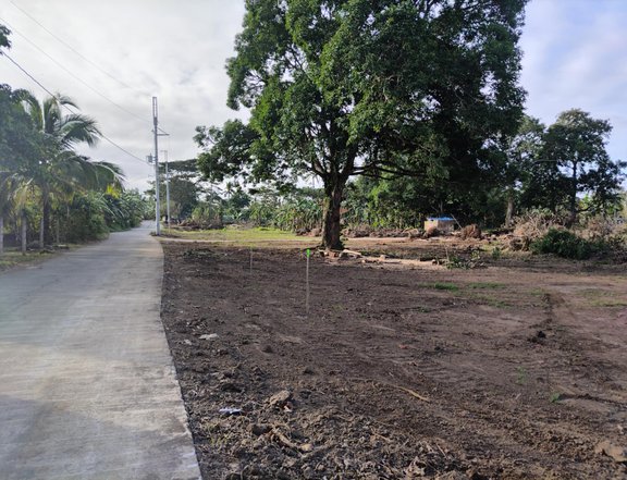 500Sqm. AFFORDABLE FARM LOT SA INDANG CAVITE