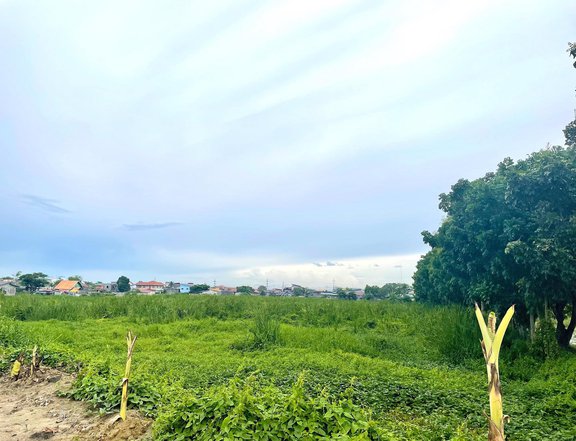 2.4 Has Apalit Pampanga Agricultural Land for Sale !