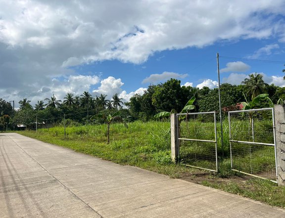 Affordable Farm Lot in San Antonio Quezon Province