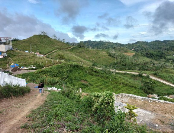 FARM RESORT 1,000 sqm Agricultural Farm For Sale in Cebu City Cebu