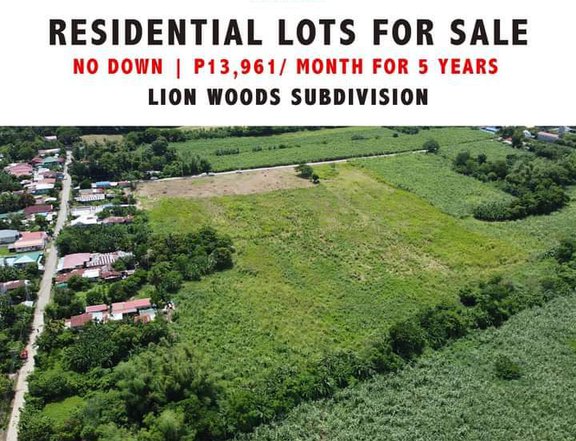 100 sqm Residential Lot For Sale in Padre Garcia Batangas