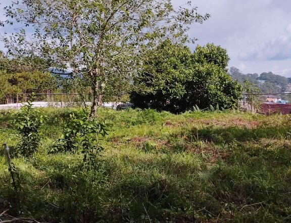 100 sqm Residential Lot For Sale in Baguio Benguet