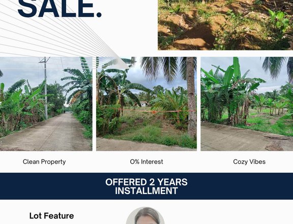 RESIDENTIAL FARM LOT IN AMADEO