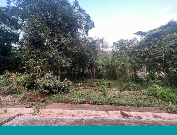 525 sqm Residential Lot For Sale in Eastland Heights Antipolo City