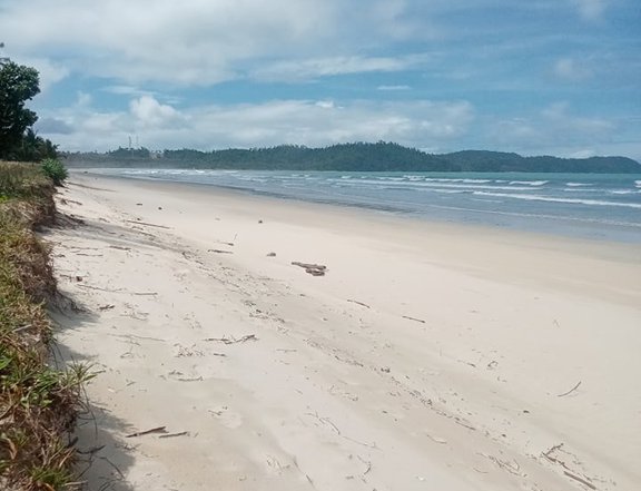 Beach Lot in San, Vicente Palawan