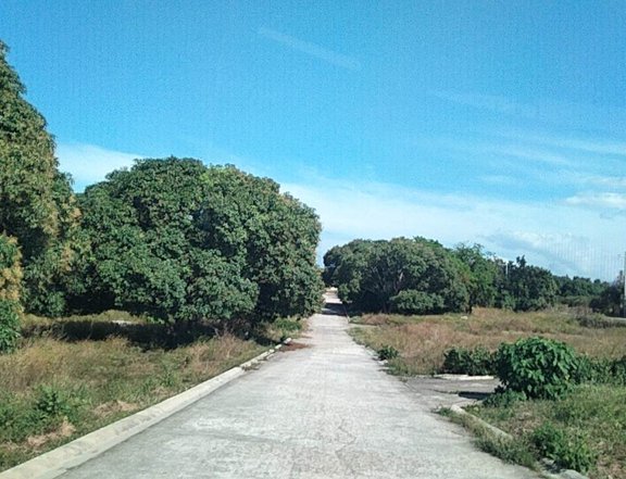 DOLPHYVILLE ESTATES LOT FOR SALE IN TALISAY, CALATAGAN, BATANGAS