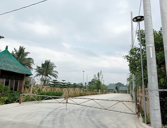 Residential Farm lot near the road Tagaytay nasugbu road