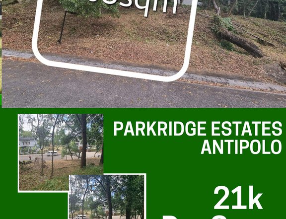405 sqm Residential Lot For Sale in Antipolo Rizal