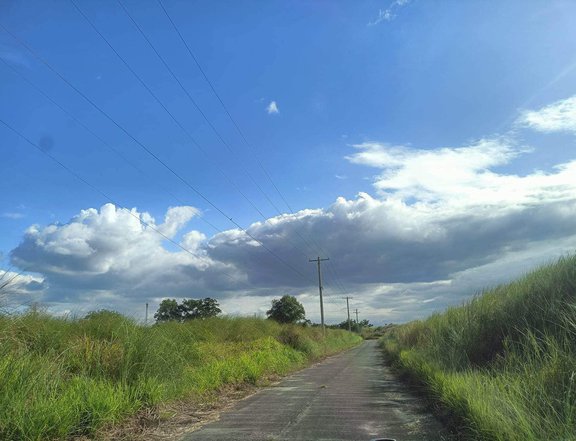 FOR SALE LAND IN PAMPANGA NEAR CLARK AND MONTCLAIR