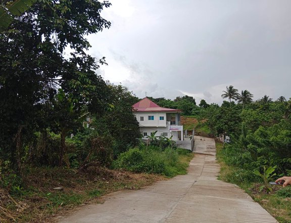 300 sqm Residential Farm For Sale in Amadeo Cavite