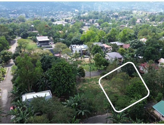 384 sqm Residential Lot For Sale in Antipolo Rizal