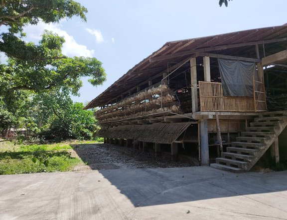 1.3 hectare Income-Generating Poultry Farm in San Juan Batangas