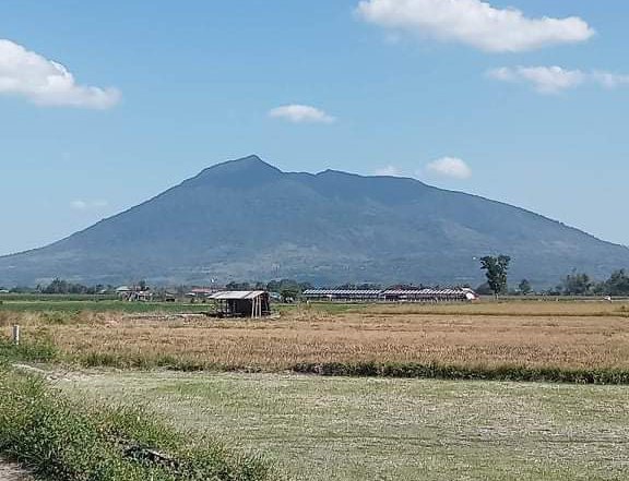 AGRICULTURAL LAND IN MAGALANG PAMPANGA NEAR ANGELES CITY FLYING CLUB