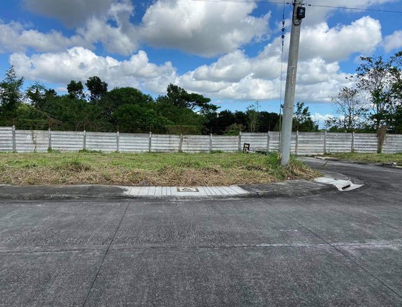 243 sqm Residential Lot For Sale in Washington Place Dasmarinas Cavite