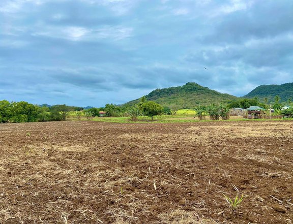 AFFORDABLE 1000 sqm. FARM LOTS with mountain views - Nasugbu, Batangas