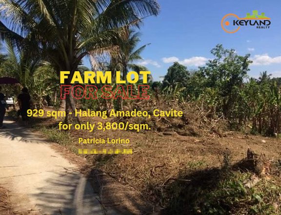 Farm Lot For Sale 929 sqm - Amadeo Cavite