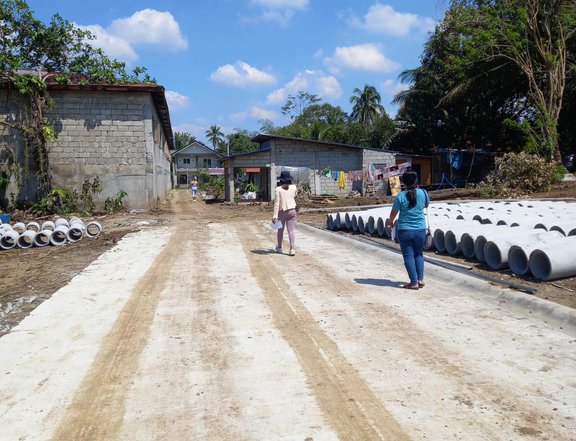 READY TO USE FARM LOT FOR SALE INDANG CAVITE