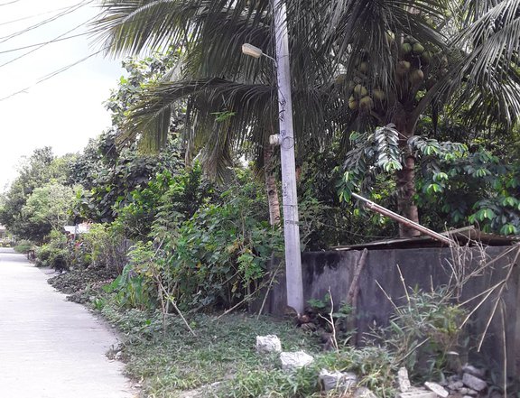 1,788 sqm Residential Lot For Sale Property in Tupi