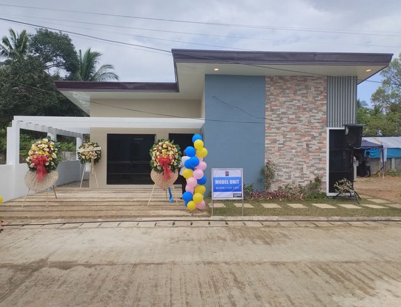 Pre-Selling 3-bedroom Single Detached House For Sale in Balamban Cebu