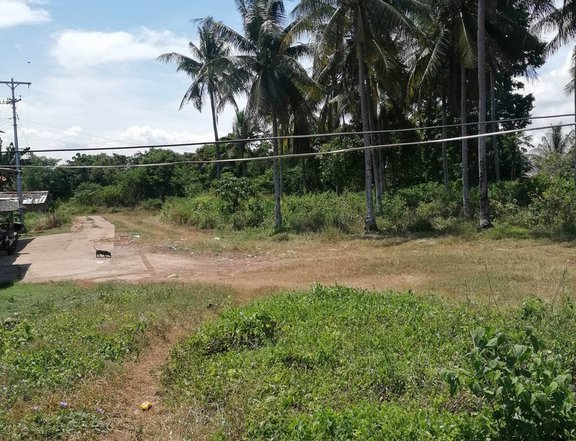 11 hectares farm land for sale