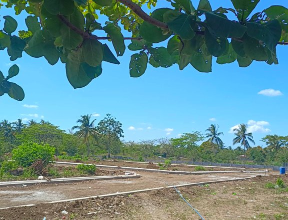 436 sqm Residential Farm For Sale in Indang Cavite