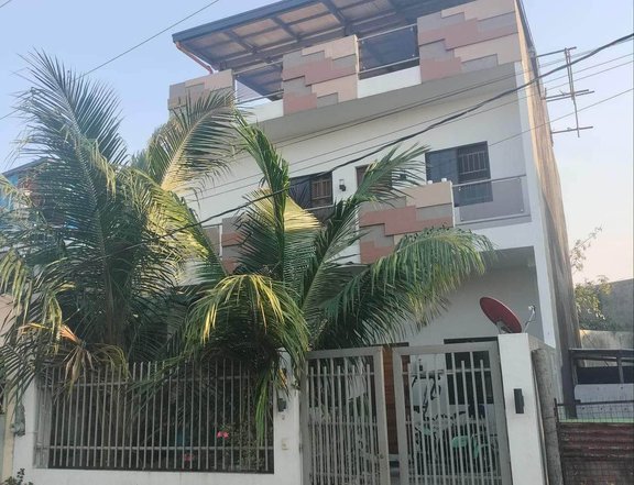 Spacious House and Lot in Mercedes Executive Village , Pasig For SALE