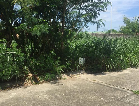 Residential lot for sale by owner near Laguna Technopark