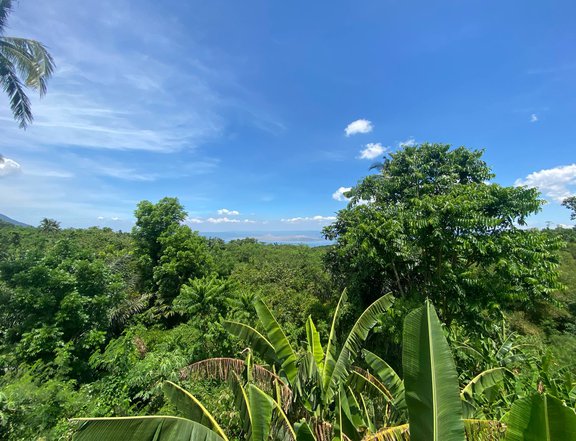 Residential Lot 284 sqm For Sale in Lauan Ridges Lipa Batangas Block 7 Lot 4