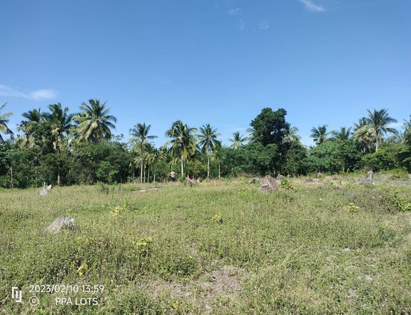 80 sqm Residential Farm For Sale in San Juan Batangas with amenities
