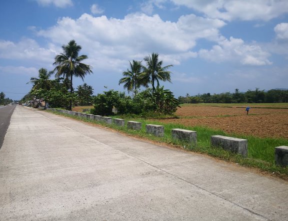 15000 sqm Along National Highway in Balocawe Abuyog Leyte