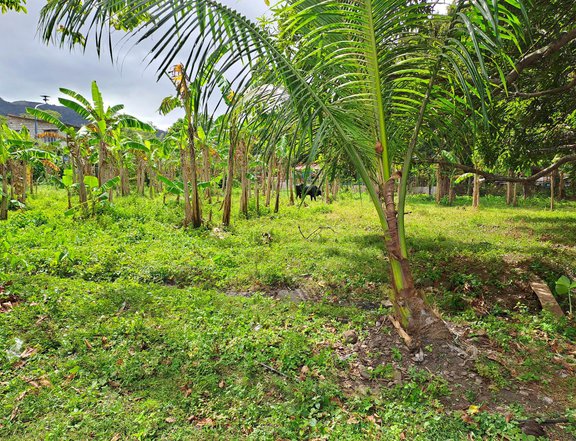 1.2 hectares Agricultural Farm For Sale in Pililla Rizal