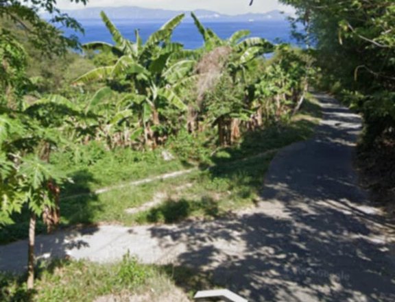 Overlooking Lot at Batangas Bay