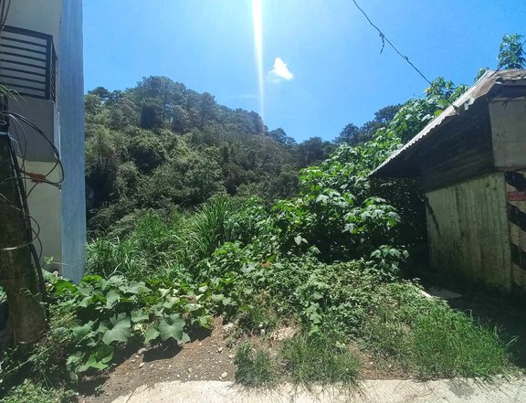 309 sqm Residential Lot for Sale in Suello Village, Baguio City