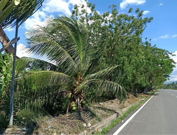 1.08 hectares Lot For Sale in National Highway Kawas, Alabel Sarangani