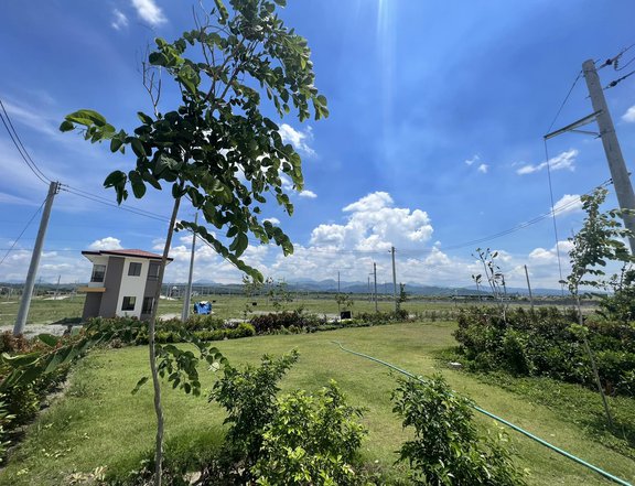 Premium Lots in Alviera Porac Pampanga, preselling Ayala Land property