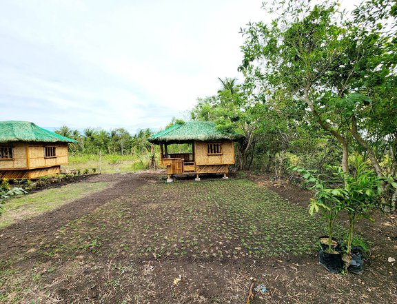 Residential Farm Lot for sale at Brgy. Laiya-Ibabao