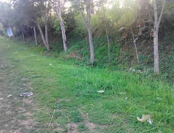 Lot for sale along highway, shoreline and overlooking to the sea1k/sqm