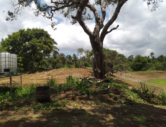 500 sqm Residential Farm For Sale in Alfonso Cavite