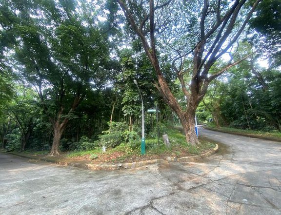 RESIDENTIAL CORNER LOT FOR SALE Town Country Estates, Antipolo Rizal